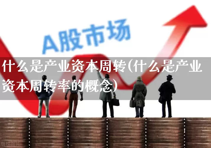 什么是产业资本周转(什么是产业资本周转率的概念)_https://www.hangfeite.com_科创板_第1张