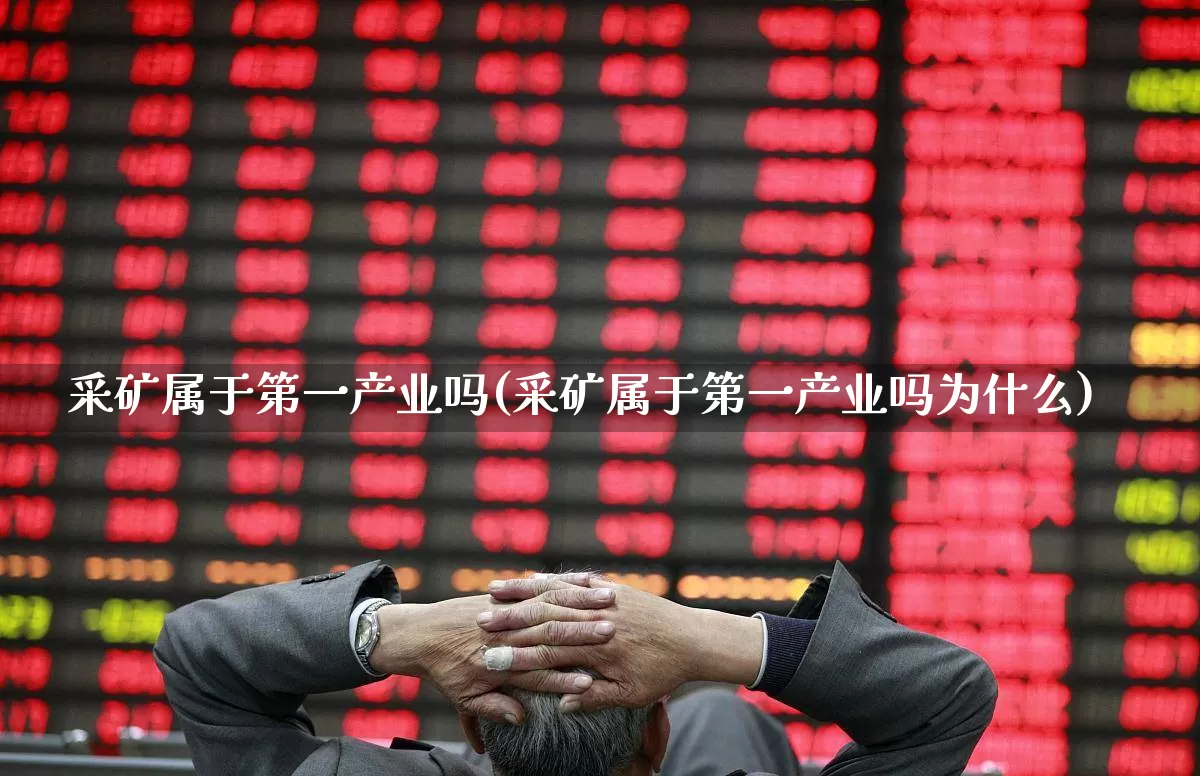 采矿属于第一产业吗(采矿属于第一产业吗为什么)_https://www.hangfeite.com_上交所_第1张