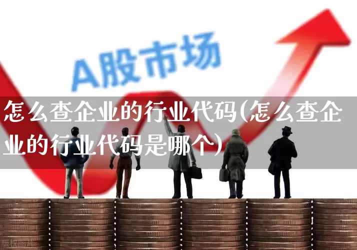 怎么查企业的行业代码(怎么查企业的行业代码是哪个)_https://www.hangfeite.com_上交所_第1张
