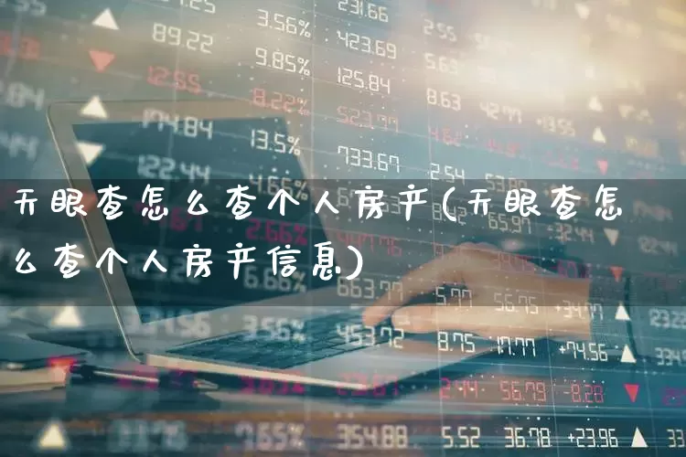 天眼查怎么查个人房产(天眼查怎么查个人房产信息)_https://www.hangfeite.com_上交所_第1张