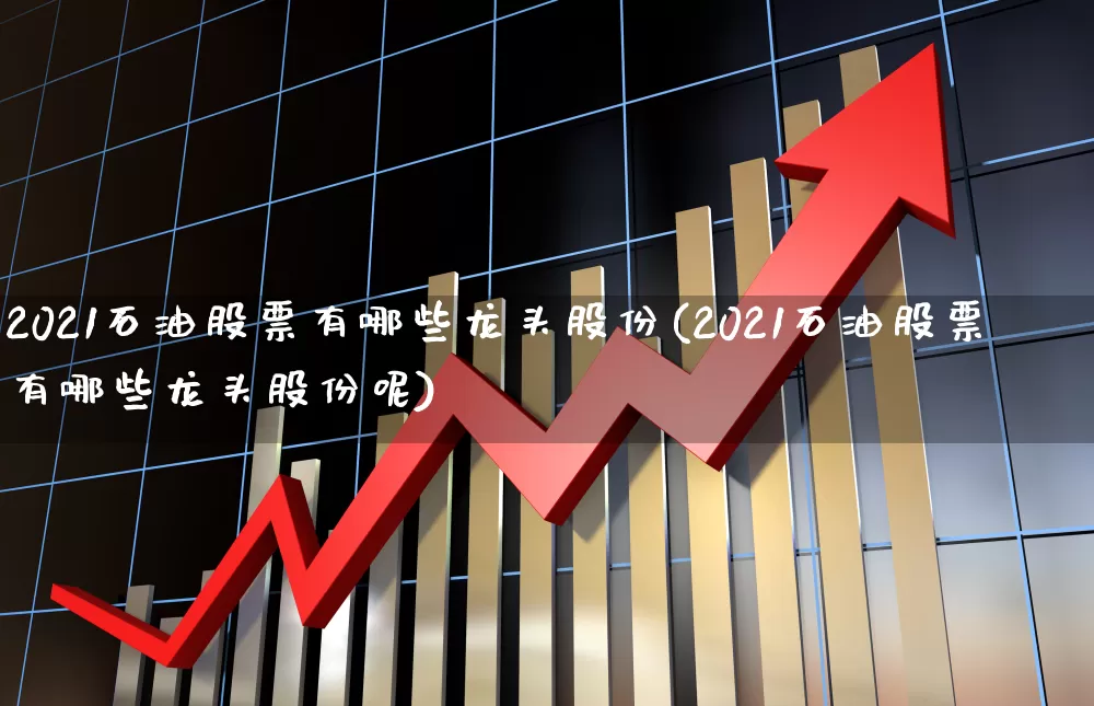 2021石油股票有哪些龙头股份(2021石油股票有哪些龙头股份呢)_https://www.hangfeite.com_科创板_第1张