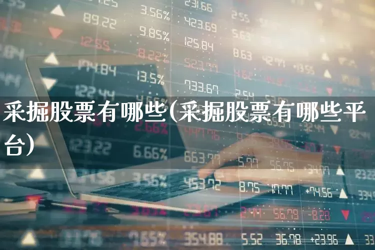 采掘股票有哪些(采掘股票有哪些平台)_https://www.hangfeite.com_创业板_第1张