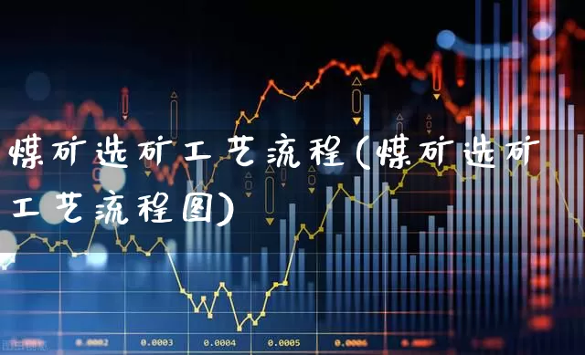 煤矿选矿工艺流程(煤矿选矿工艺流程图)_https://www.hangfeite.com_上交所_第1张