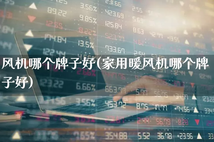 风机哪个牌子好(家用暖风机哪个牌子好)_https://www.hangfeite.com_创业板_第1张