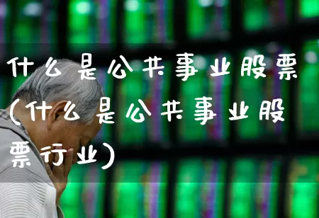 什么是公共事业股票(什么是公共事业股票行业)_https://www.hangfeite.com_上交所_第1张