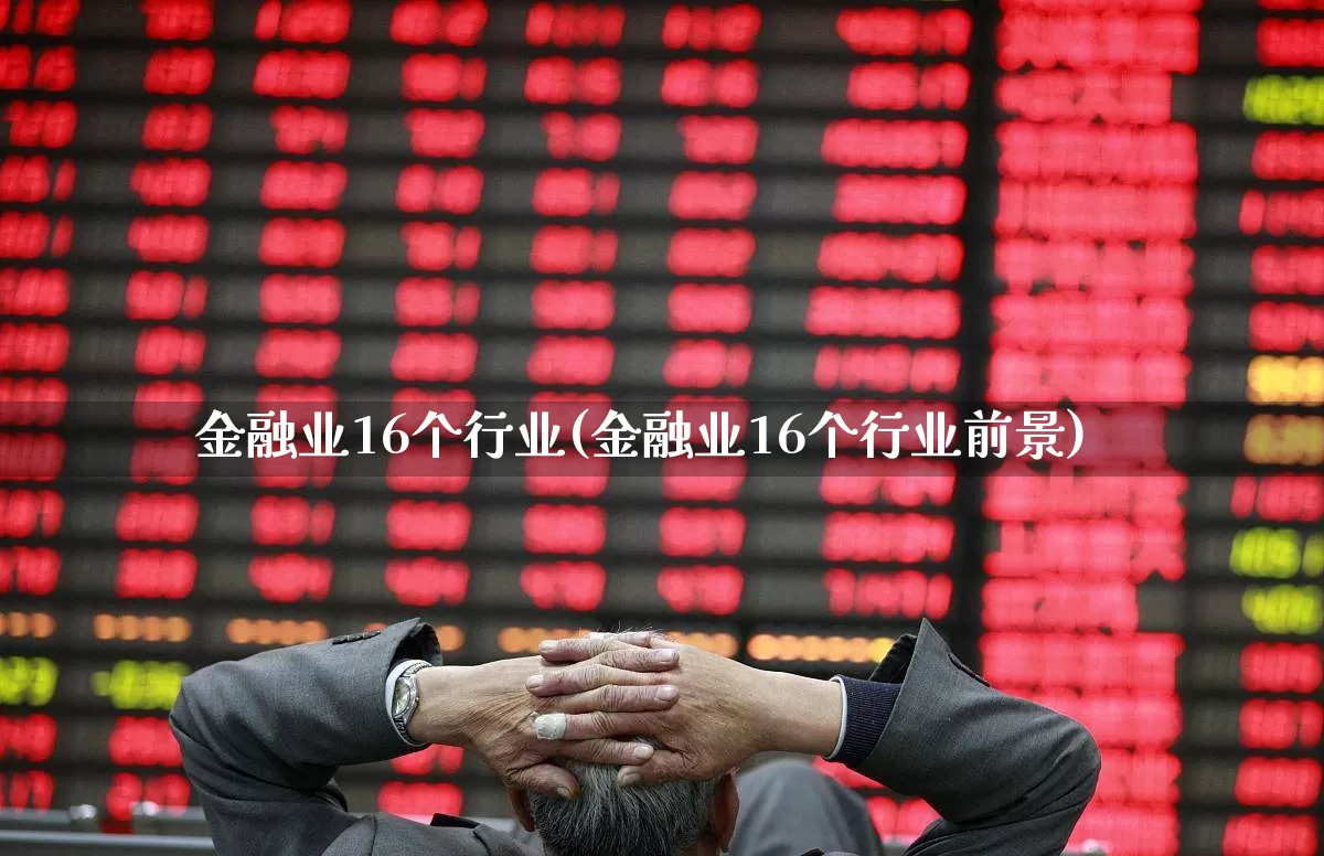 金融业16个行业(金融业16个行业前景)_https://www.hangfeite.com_科创板_第1张