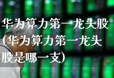 华为算力第一龙头股(华为算力第一龙头股是哪一支)_https://www.hangfeite.com_创业板_第1张