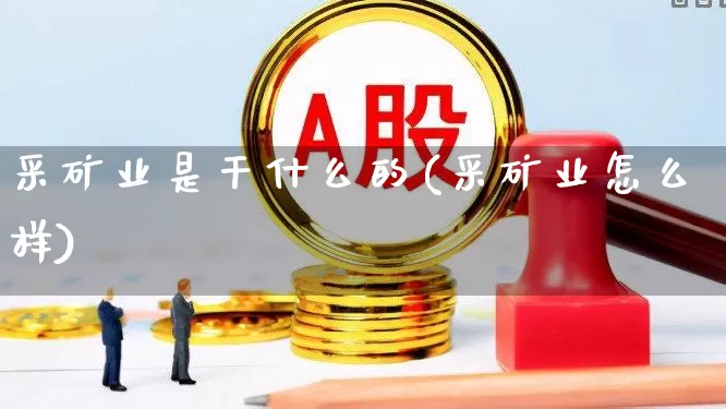 采矿业是干什么的(采矿业怎么样)_https://www.hangfeite.com_科创板_第1张