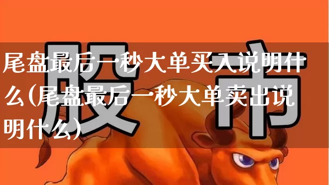 尾盘最后一秒大单买入说明什么(尾盘最后一秒大单卖出说明什么)_https://www.hangfeite.com_上交所_第1张