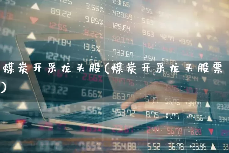 煤炭开采龙头股(煤炭开采龙头股票)_https://www.hangfeite.com_科创板_第1张