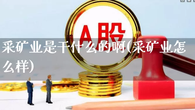 采矿业是干什么的啊(采矿业怎么样)_https://www.hangfeite.com_创业板_第1张