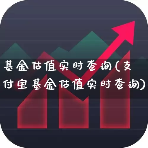 基金估值实时查询(支付宝基金估值实时查询)_https://www.hangfeite.com_科创板_第1张