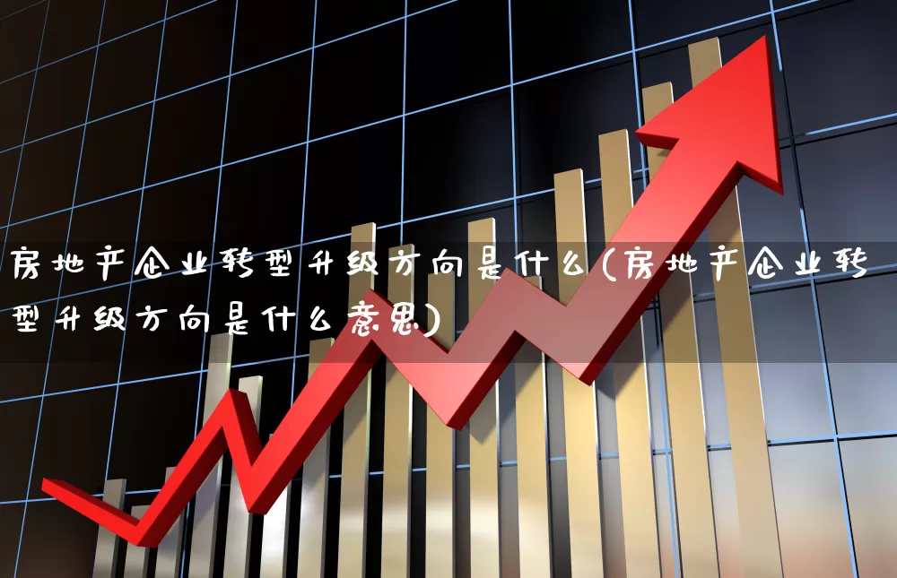 房地产企业转型升级方向是什么(房地产企业转型升级方向是什么意思)_https://www.hangfeite.com_创业板_第1张