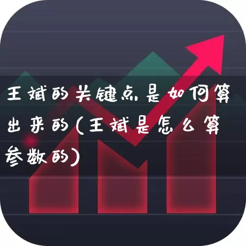 王斌的关键点是如何算出来的(王斌是怎么算参数的)_https://www.hangfeite.com_上交所_第1张