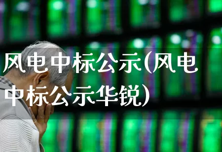 风电中标公示(风电中标公示华锐)_https://www.hangfeite.com_深交所_第1张