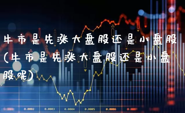 牛市是先涨大盘股还是小盘股(牛市是先涨大盘股还是小盘股呢)_https://www.hangfeite.com_上交所_第1张